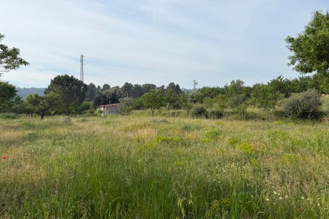 Finca i Asco, Tarragona, Asco - € 23.500 | Ref: Asc08jes - foto 8
