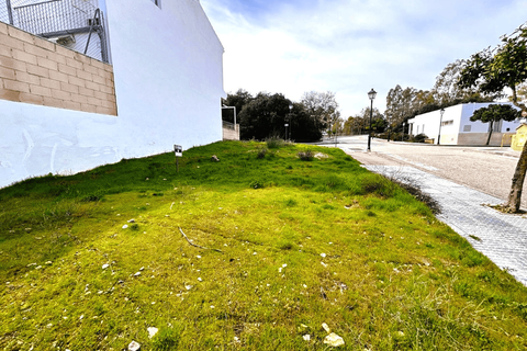 Terra a Archidona, Malaga, Archidona - € 40.000 | Ref: P-26001S - foto 6