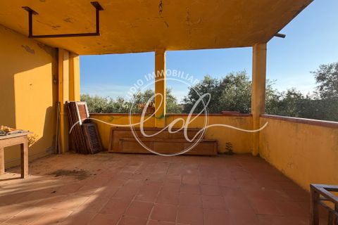 Byhus i Seravezza, Lucca, Seravezza - € 375.000 | Ref: 2724 - foto 37