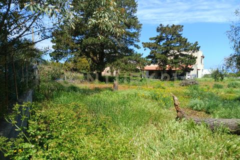 Villa i Lipari, Messina, Lipari - € 130.000 | Ref: 07-015 - foto 37