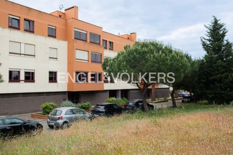 Apartment in Oeiras, Lisbon, Oeiras - € 4,500/month | Ref: W-049LRS - photo 31