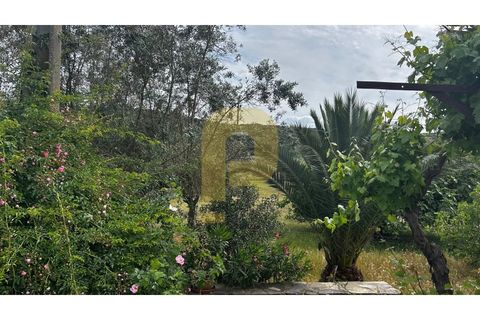 Farm hus i Avis, Portalegre, Avis - € 275.000 | Ref: PB2026503 - foto 37