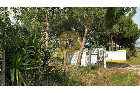 Farm hus i Avis, Portalegre, Avis - € 275.000 | Ref: PB2026503 - foto 44