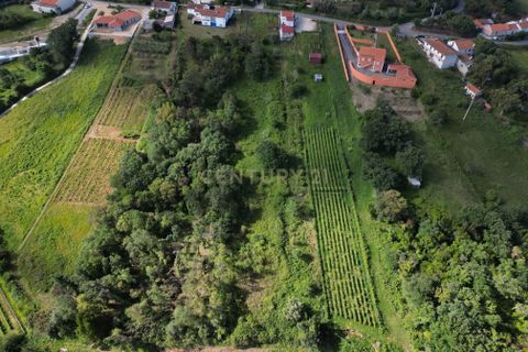 Helårsgrund i Alcobaca, Leiria, Alcobaca - € 63.000 | Ref: 0563-01887 - foto 4