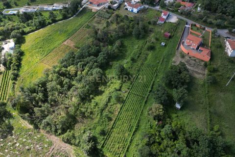 Helårsgrund i Alcobaca, Leiria, Alcobaca - € 63.000 | Ref: 0563-01887 - foto 5