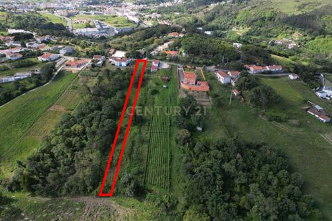 Helårsgrund i Alcobaca, Leiria, Alcobaca - € 63.000 | Ref: 0563-01887 - foto 6