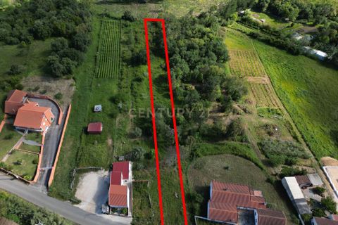 Helårsgrund i Alcobaca, Leiria, Alcobaca - € 63.000 | Ref: 0563-01887 - foto 9