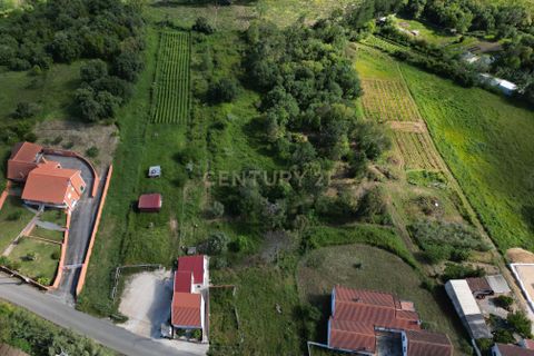 Helårsgrund i Alcobaca, Leiria, Alcobaca - € 63.000 | Ref: 0563-01887 - foto 10