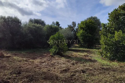 Helårsgrund i Silves, Faro, Silves - € 210.000 | Ref: C0507-00346 - foto 7