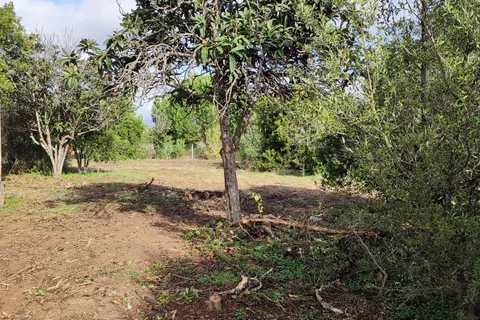 Helårsgrund i Silves, Faro, Silves - € 210.000 | Ref: C0507-00346 - foto 9
