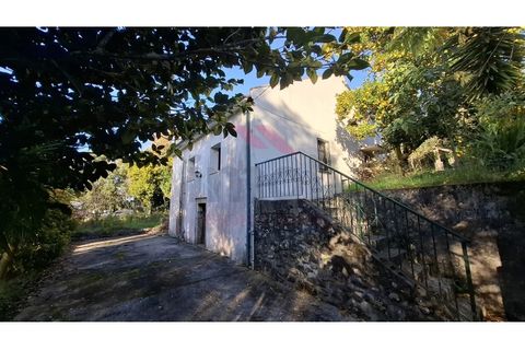 Villa i Ponte de Lima, Viana do Castelo, Ponte de Lima - € 270.000 | Ref: PTL-1236-FR-0925 - foto 1