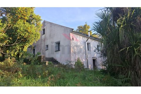 Villa i Ponte de Lima, Viana do Castelo, Ponte de Lima - € 270.000 | Ref: PTL-1236-FR-0925 - foto 2