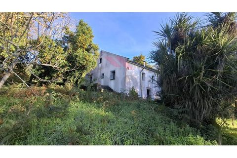 Villa i Ponte de Lima, Viana do Castelo, Ponte de Lima - € 270.000 | Ref: PTL-1236-FR-0925 - foto 3