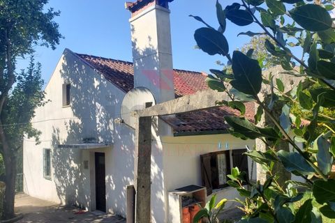 Villa i Ponte de Lima, Viana do Castelo, Ponte de Lima - € 270.000 | Ref: PTL-1236-FR-0925 - foto 5