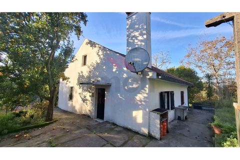 Villa i Ponte de Lima, Viana do Castelo, Ponte de Lima - € 270.000 | Ref: PTL-1236-FR-0925 - foto 6