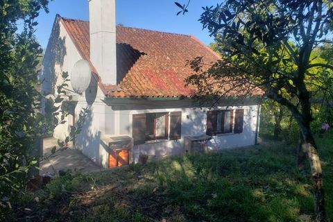 Villa i Ponte de Lima, Viana do Castelo, Ponte de Lima - € 270.000 | Ref: PTL-1236-FR-0925 - foto 7