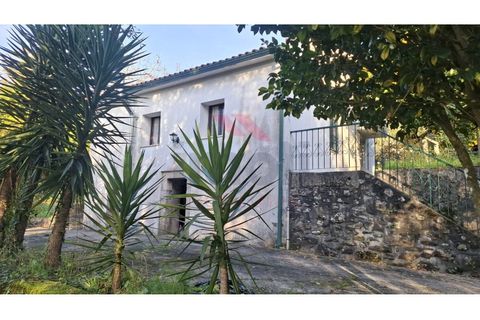 Villa i Ponte de Lima, Viana do Castelo, Ponte de Lima - € 270.000 | Ref: PTL-1236-FR-0925 - foto 8