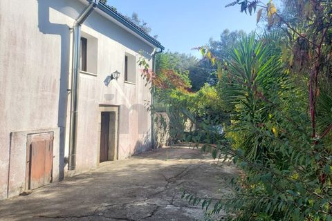 Villa i Ponte de Lima, Viana do Castelo, Ponte de Lima - € 270.000 | Ref: PTL-1236-FR-0925 - foto 9