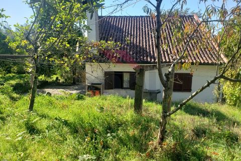 Villa i Ponte de Lima, Viana do Castelo, Ponte de Lima - € 270.000 | Ref: PTL-1236-FR-0925 - foto 10