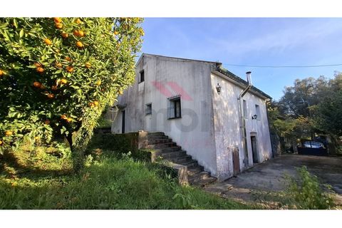 Villa i Ponte de Lima, Viana do Castelo, Ponte de Lima - € 270.000 | Ref: PTL-1236-FR-0925 - foto 12