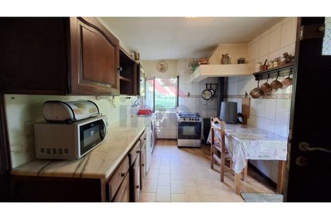Villa i Ponte de Lima, Viana do Castelo, Ponte de Lima - € 270.000 | Ref: PTL-1236-FR-0925 - foto 13
