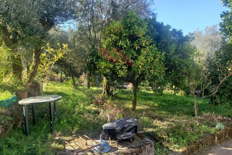 Villa i Ponte de Lima, Viana do Castelo, Ponte de Lima - € 270.000 | Ref: PTL-1236-FR-0925 - foto 23