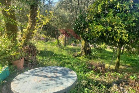 Villa i Ponte de Lima, Viana do Castelo, Ponte de Lima - € 270.000 | Ref: PTL-1236-FR-0925 - foto 24