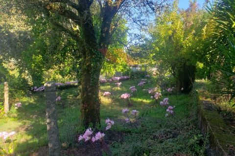 Villa i Ponte de Lima, Viana do Castelo, Ponte de Lima - € 270.000 | Ref: PTL-1236-FR-0925 - foto 25