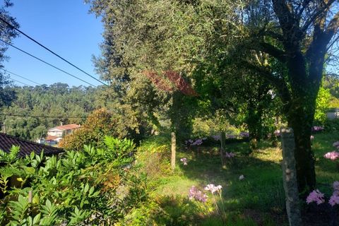 Villa i Ponte de Lima, Viana do Castelo, Ponte de Lima - € 270.000 | Ref: PTL-1236-FR-0925 - foto 26