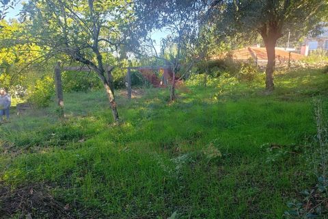 Villa i Ponte de Lima, Viana do Castelo, Ponte de Lima - € 270.000 | Ref: PTL-1236-FR-0925 - foto 27