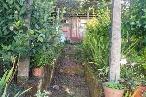 Villa i Ponte de Lima, Viana do Castelo, Ponte de Lima - € 270.000 | Ref: PTL-1236-FR-0925 - foto 28