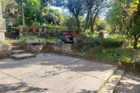 Villa i Ponte de Lima, Viana do Castelo, Ponte de Lima - € 270.000 | Ref: PTL-1236-FR-0925 - foto 29