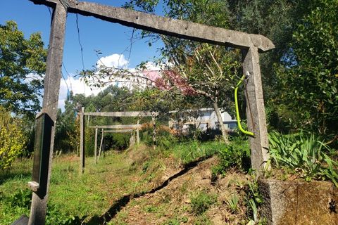 Villa i Ponte de Lima, Viana do Castelo, Ponte de Lima - € 270.000 | Ref: PTL-1236-FR-0925 - foto 30