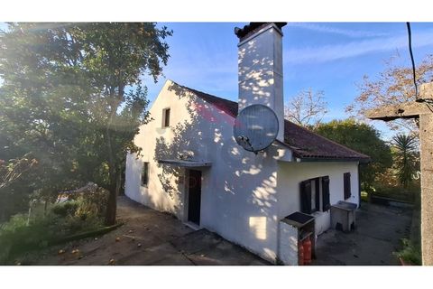 Villa i Ponte de Lima, Viana do Castelo, Ponte de Lima - € 270.000 | Ref: PTL-1236-FR-0925 - foto 32