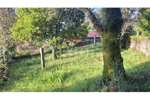 Villa i Ponte de Lima, Viana do Castelo, Ponte de Lima - € 270.000 | Ref: PTL-1236-FR-0925 - foto 34