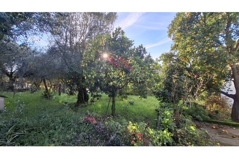 Villa i Ponte de Lima, Viana do Castelo, Ponte de Lima - € 270.000 | Ref: PTL-1236-FR-0925 - foto 36