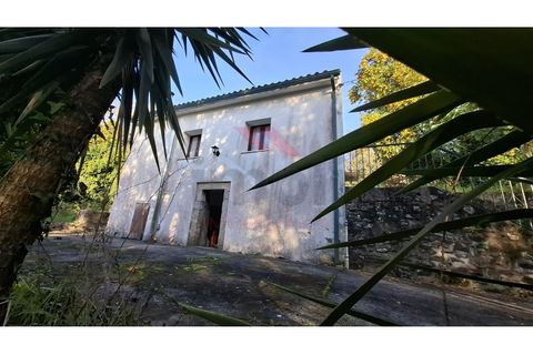 Villa i Ponte de Lima, Viana do Castelo, Ponte de Lima - € 270.000 | Ref: PTL-1236-FR-0925 - foto 38