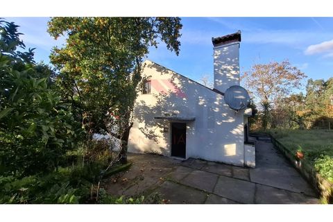 Villa i Ponte de Lima, Viana do Castelo, Ponte de Lima - € 270.000 | Ref: PTL-1236-FR-0925 - foto 39