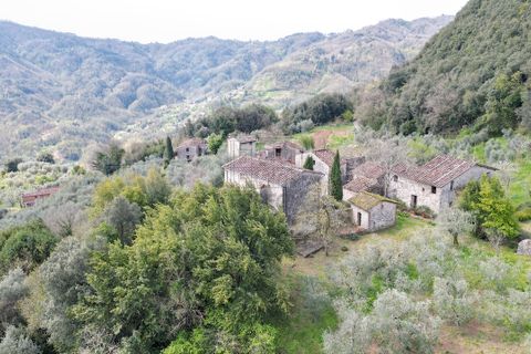 Villa a Lucca, Lucca, Lucca - € 290.000 | Ref: IA04218 - foto 2
