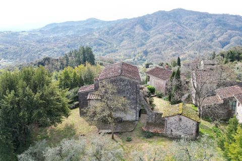 Villa a Lucca, Lucca, Lucca - € 290.000 | Ref: IA04218 - foto 5