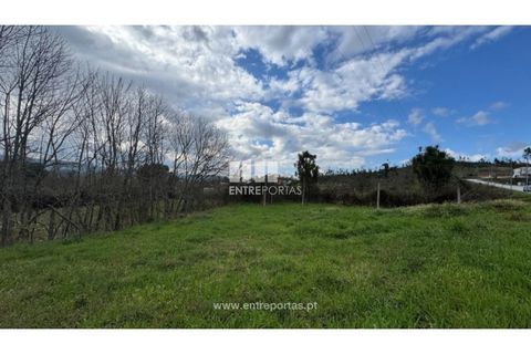 Helårsgrund i Amarante, Porto, Amarante - € 140.000 | Ref: MC09801 - foto 2