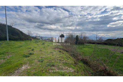 Helårsgrund i Amarante, Porto, Amarante - € 140.000 | Ref: MC09801 - foto 11