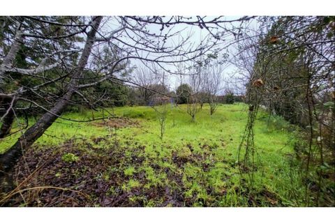 Villa i Viana do Castelo, Viana do Castelo, Viana do Castelo - € 590.000 | Ref: VCC14671 - foto 24