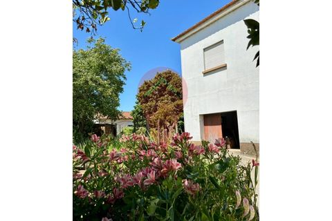 Villa a Ganfei, Viana do Castelo, Ganfei - € 220.000 | Ref: CAS_0309 - foto 3