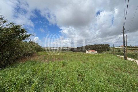 Helårsgrund i A dos Cunhados e Maceira, Lisbon, A dos Cunhados e Maceira - € 595.000 | Ref: 97548 - foto 4
