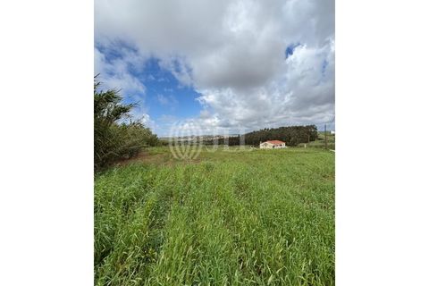 Helårsgrund i A dos Cunhados e Maceira, Lisbon, A dos Cunhados e Maceira - € 595.000 | Ref: 97548 - foto 14