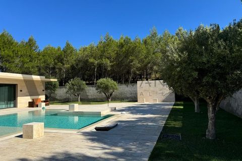 Villa a Cascais, Lisbon, Cascais - € 25.000/mes | Ref: WANTED_616 - foto 20