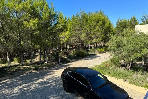 Villa a Cascais, Lisbon, Cascais - € 25.000/mes | Ref: WANTED_616 - foto 40