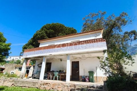 Villa i Alcabideche, Lisbon, Alcabideche - € 3.500.000 | Ref: ZMPT587962 - foto 2