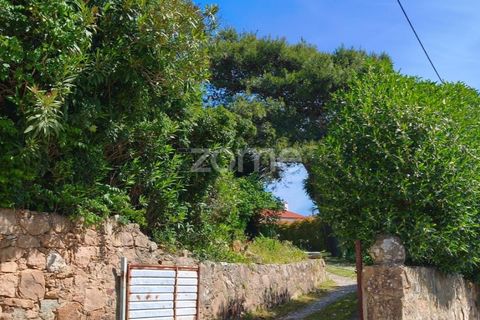 Villa i Alcabideche, Lisbon, Alcabideche - € 3.500.000 | Ref: ZMPT587962 - foto 4